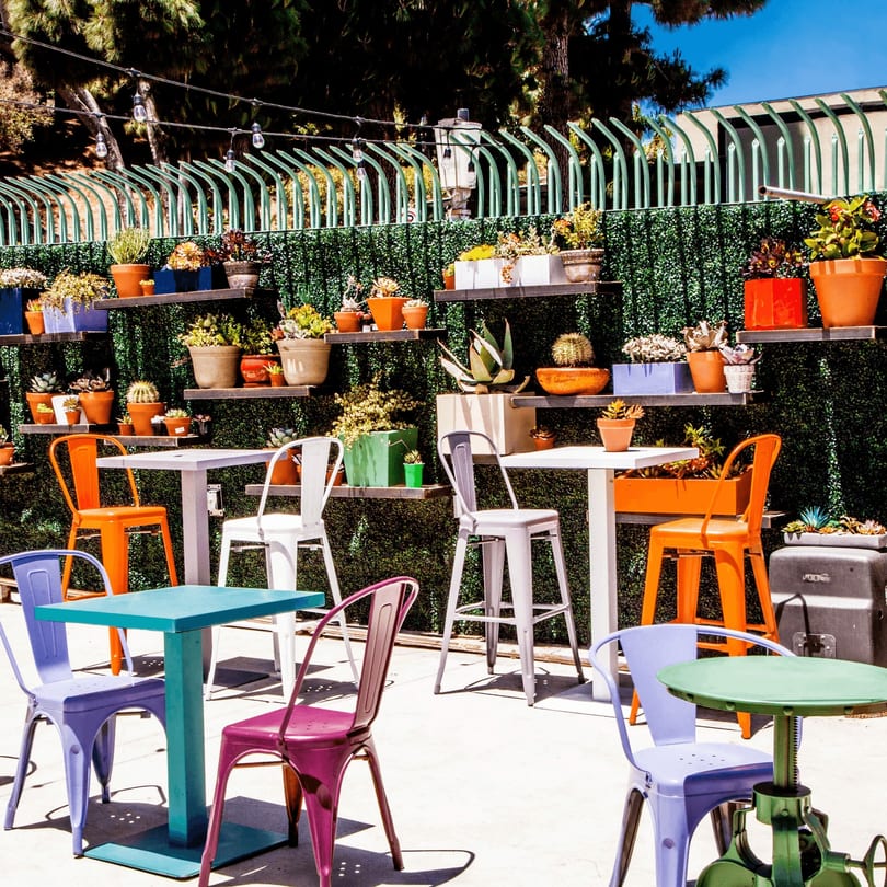 Outdoor patio with colorful chairs and tables, surrounded by a green wall with potted succulents.